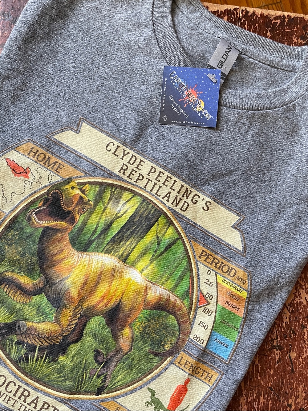 Dinosaur T-shirt, size 10/12